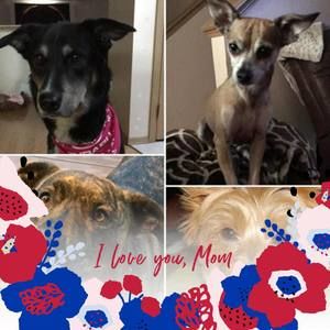 Meet your Posher, Jackie